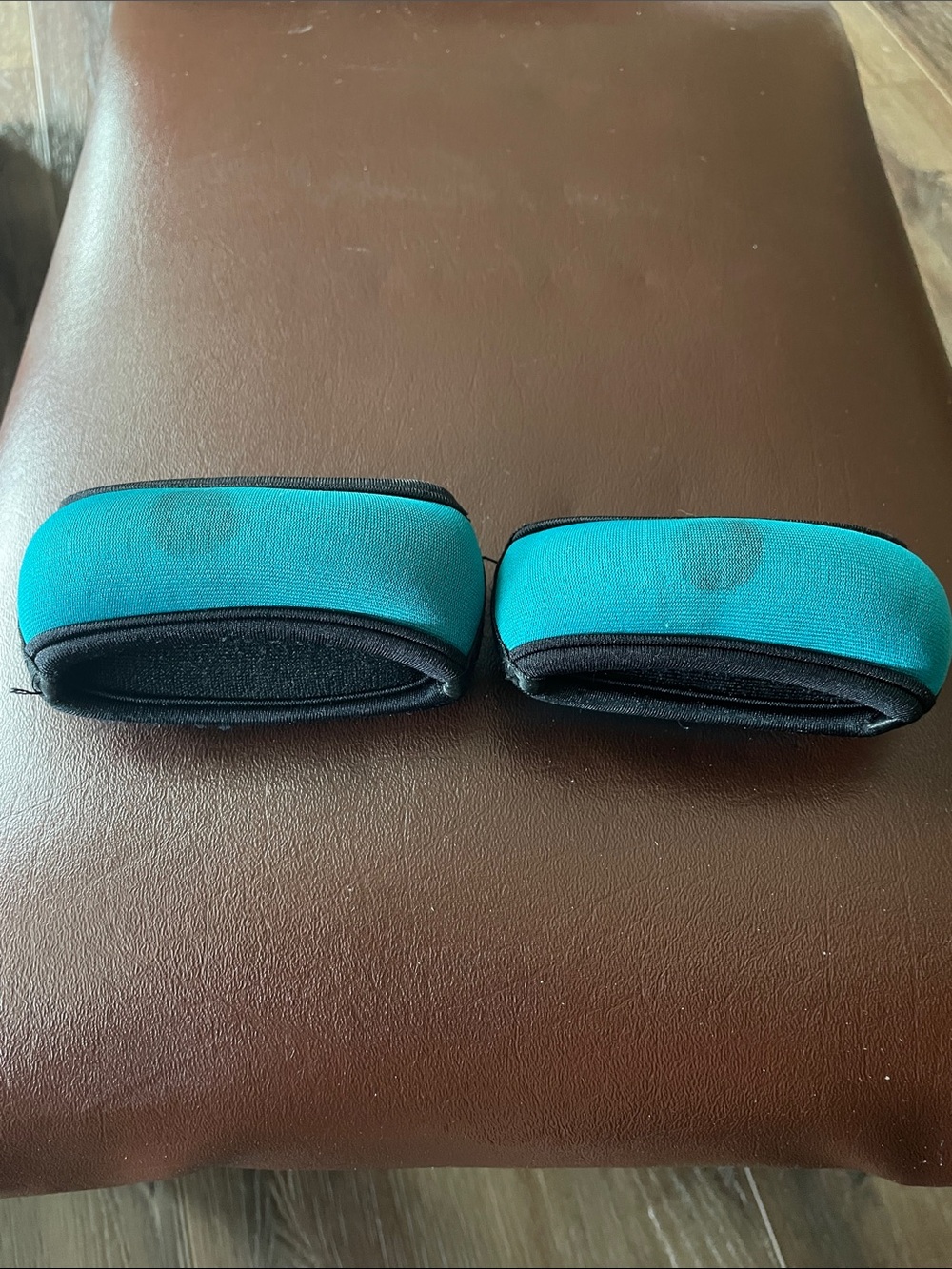 Pair of Teal wrist weights